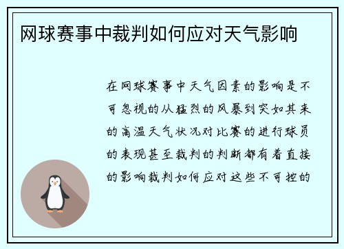 网球赛事中裁判如何应对天气影响